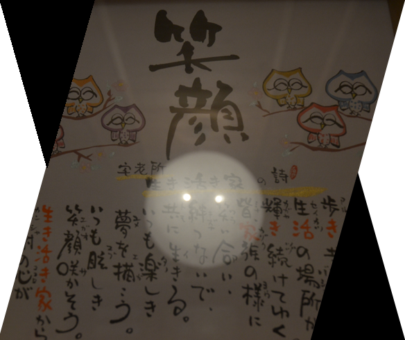 その他のケアマネジャーの役割